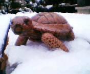 �T�����