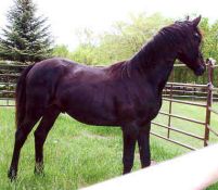 CATOE