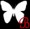 BLACK M �𗬔�