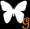BLACK M �M�������[