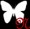 BLACK M �j���[�X