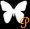 BLACK M �v���t�B�[��