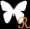 BLACK M ���W�I